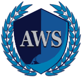 The Academy of Work Science
